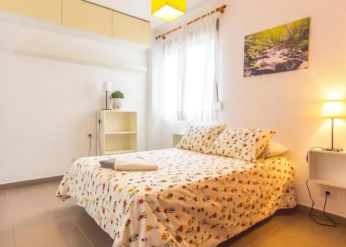 Live Heraclio Сан-Кристобаль-де-Ла-Лагуна